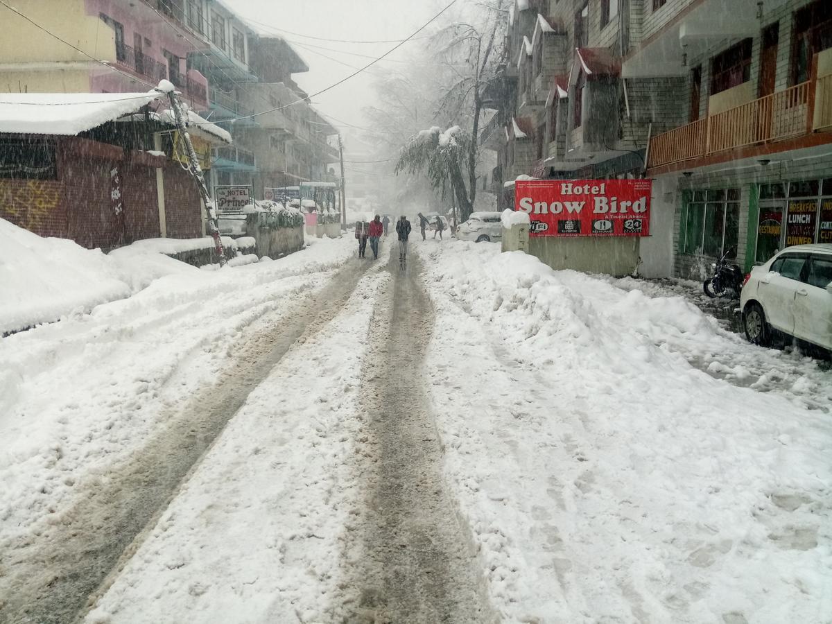 Dormico'S Hotel Snowbird Manali  Luaran gambar